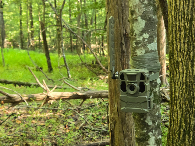 Trail Camera Tips