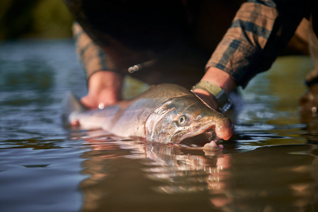 Survival Fishing