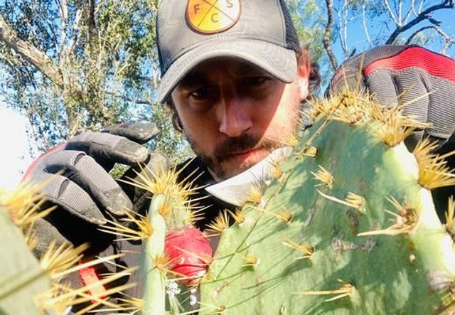 Survival: Wild Edible Plants