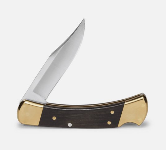 Buck Knives 110 Folding Hunter